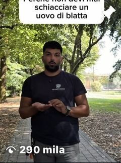 Reel Instagram di FP Disinfestazioni, Monza e Brianza: perché non devi mai schiacciare un uovo di blatta