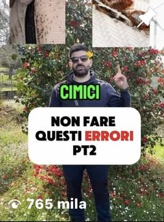 Reel Instagram di FP Disinfestazioni: cimici, non fare questi errori